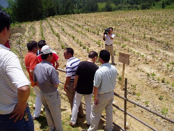 ����´��ڴ򿪴�ͼ