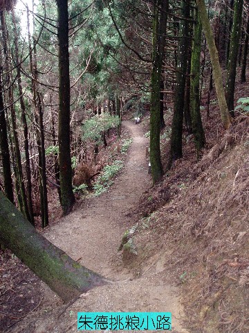 ����´��ڴ򿪴�ͼ