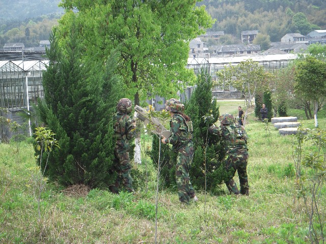 ����´��ڴ򿪴�ͼ