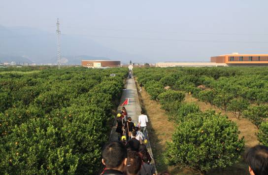 ����´��ڴ򿪴�ͼ