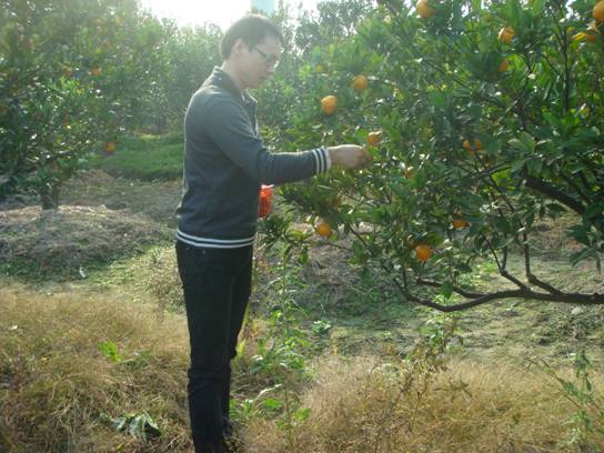 ����´��ڴ򿪴�ͼ