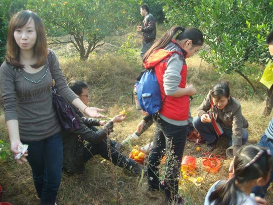 ����´��ڴ򿪴�ͼ