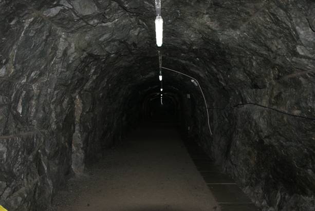 ����´��ڴ򿪴�ͼ