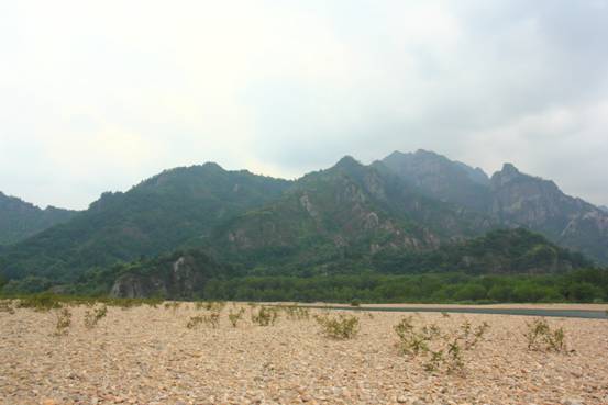 ����´��ڴ򿪴�ͼ